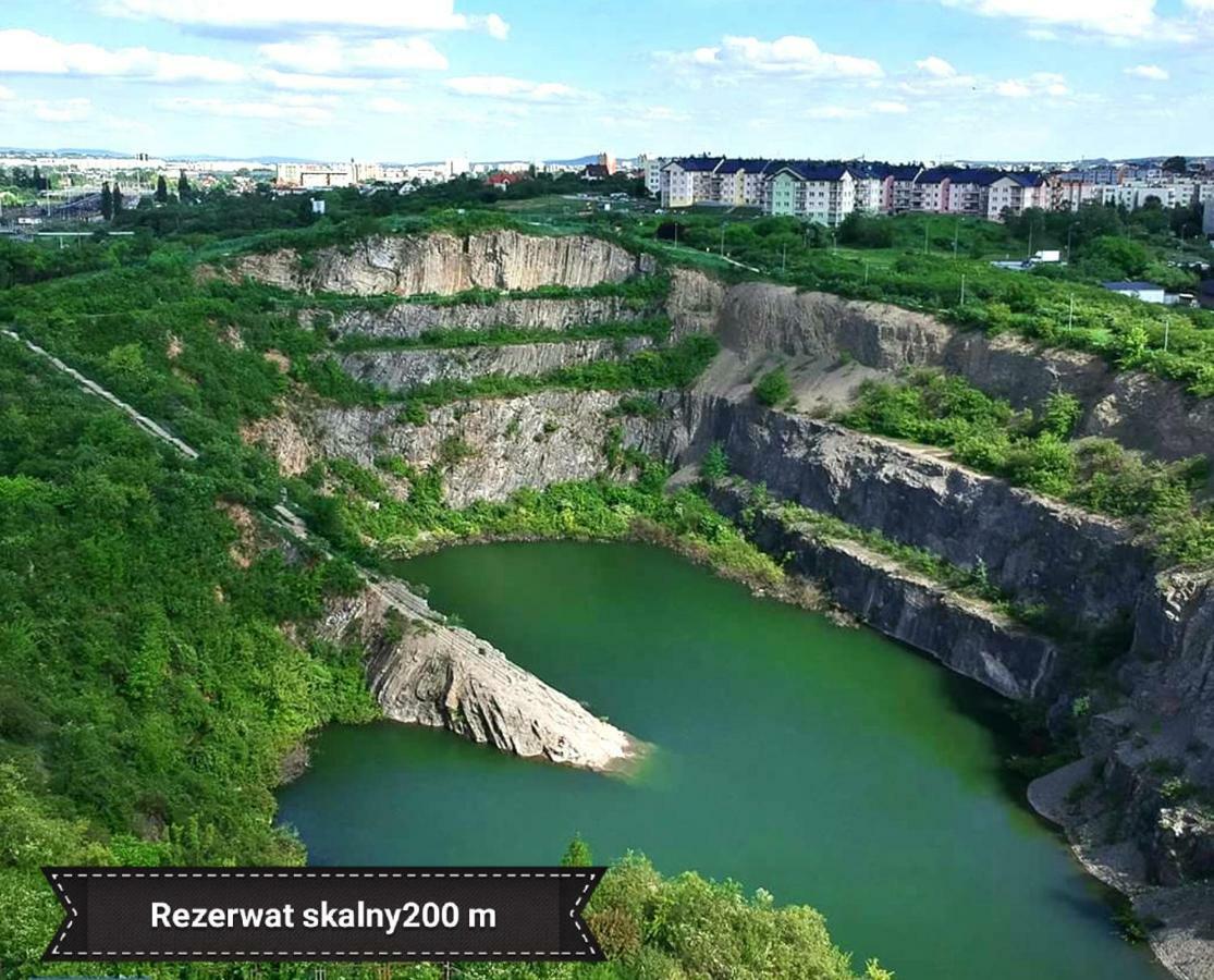 Black Rose Apartament Targi 3 Km, F-Ry Vat Kielce Ngoại thất bức ảnh
